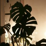 Quick Ideas to Brighten a Dark Room