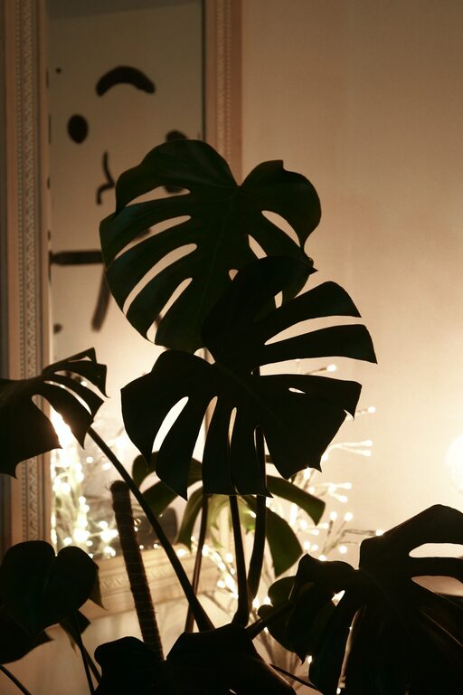 Quick Ideas to Brighten a Dark Room